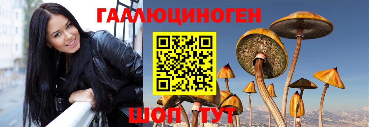 Галлюциногенные грибы Psilocybe  Вход с VPN  Усинск 